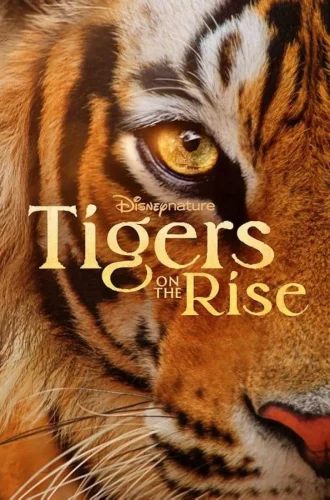 Tigers on the Rise (2024) Disney+