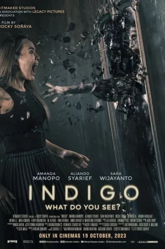 Indigo (2023) เธอเห็นอะไร