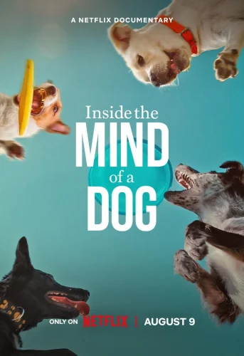 Inside the Mind of a Dog (2024) อ่านใจสุนัข