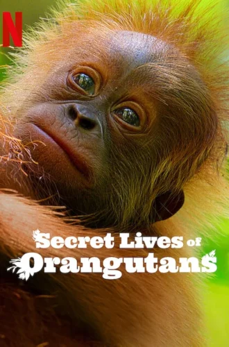 Secret Lives of Orangutans (2024) ชีวิตลับอุรังอุตัง