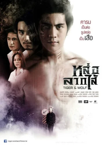 Tiger and Wolf (2013) หล่อลากไส้